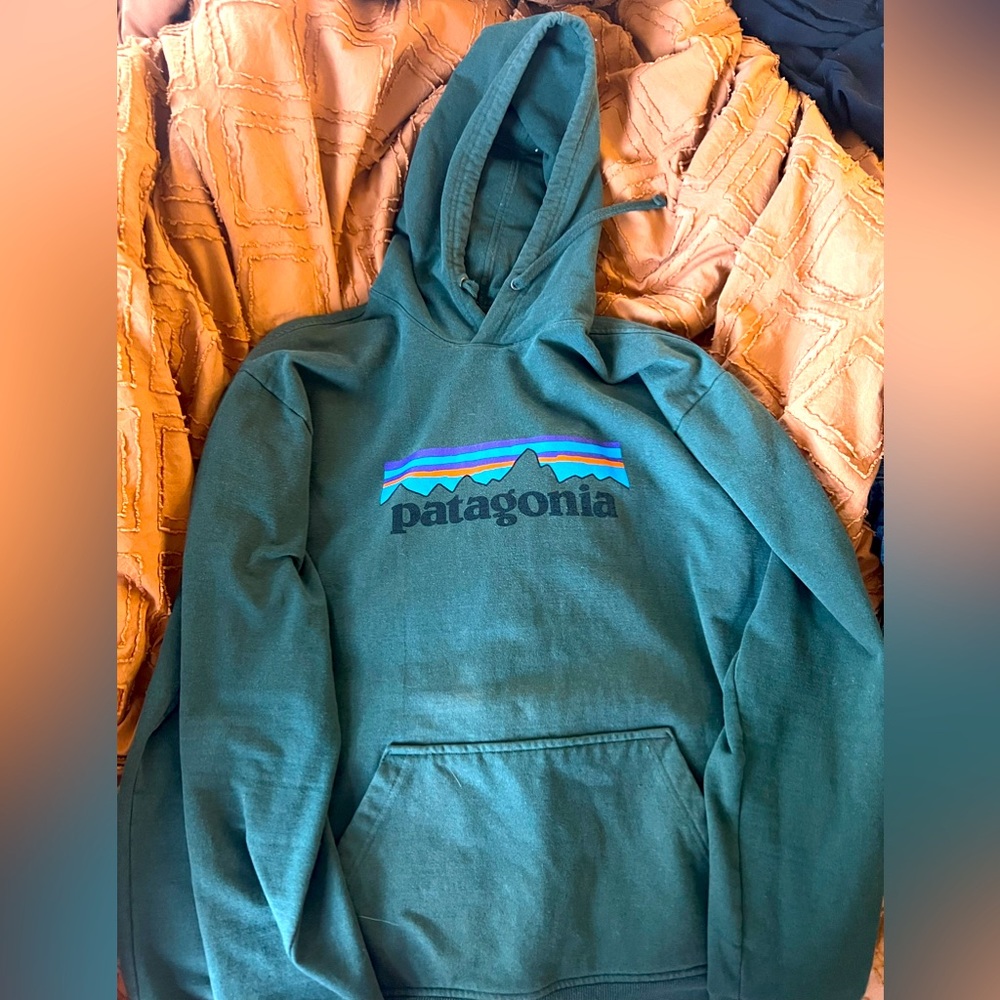 Mens Patagonia hooded sweatshirt